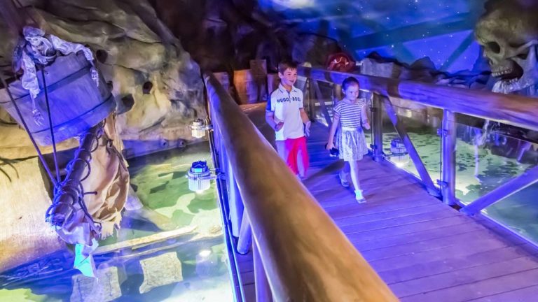 Businesses call for the public to back Northern Ireland tourism when restrictions lift